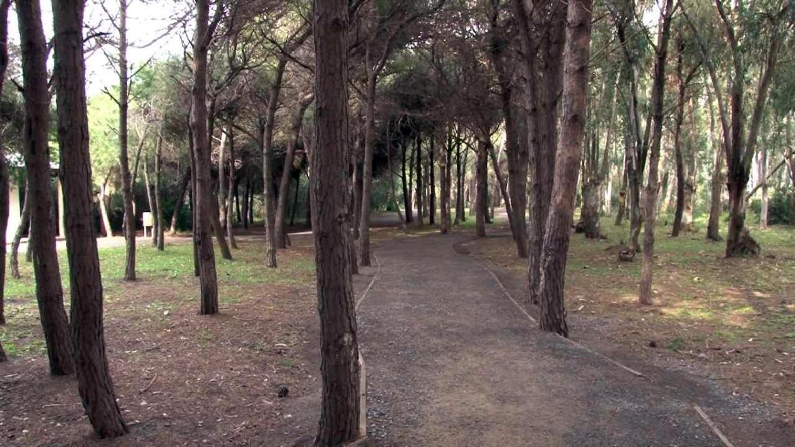 Pineta Mare Lamezia Terme
